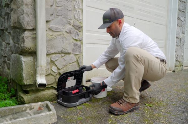 The Benefits Of Low-Toxic Pest Control Treatments