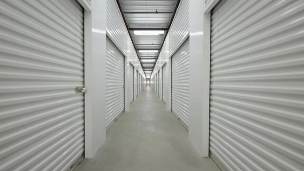 How Storage Companies Handle Pest Control